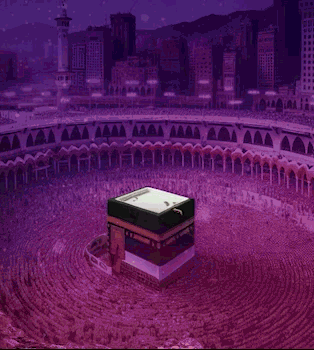 Set Your Daily Giving Amount