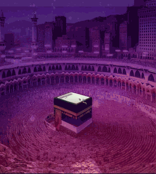 Save A Life<br> Everyday